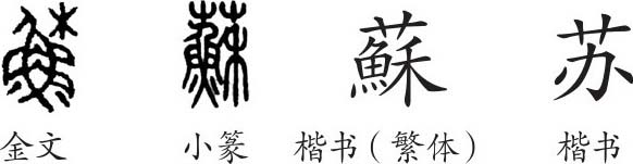 金文写作"稣.小篆另加义符"艸(艹,从艸从稣会意,稣兼表声.