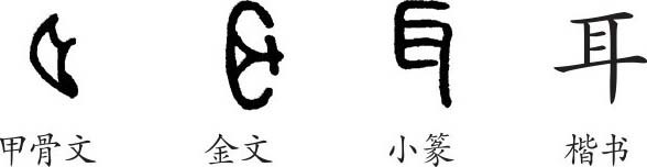 "耳"是象形字.甲骨文和金文都像人的耳朵的形状.小篆线条化.